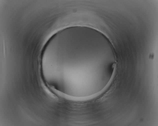 X0000091851515200710031630