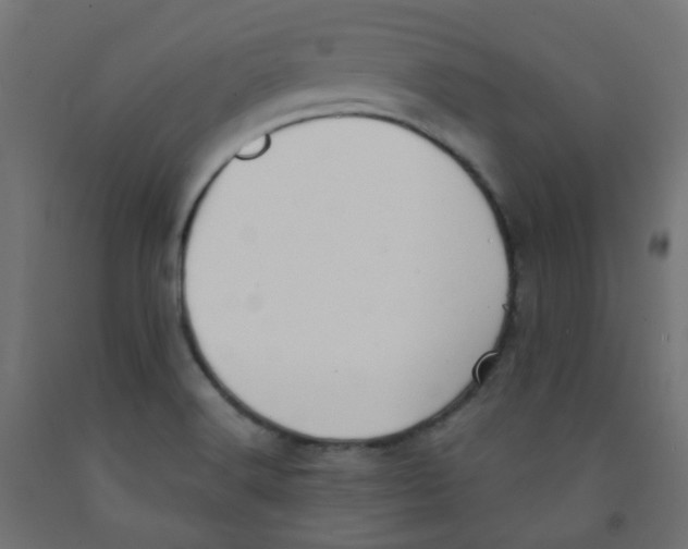X0000091851516200710031630