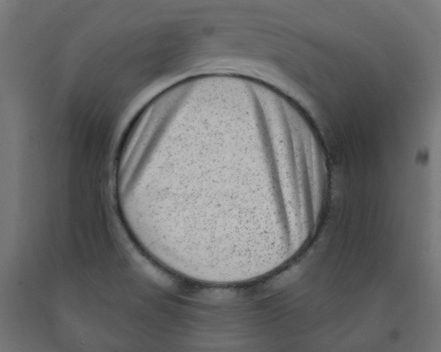 X0000091851517200710031630