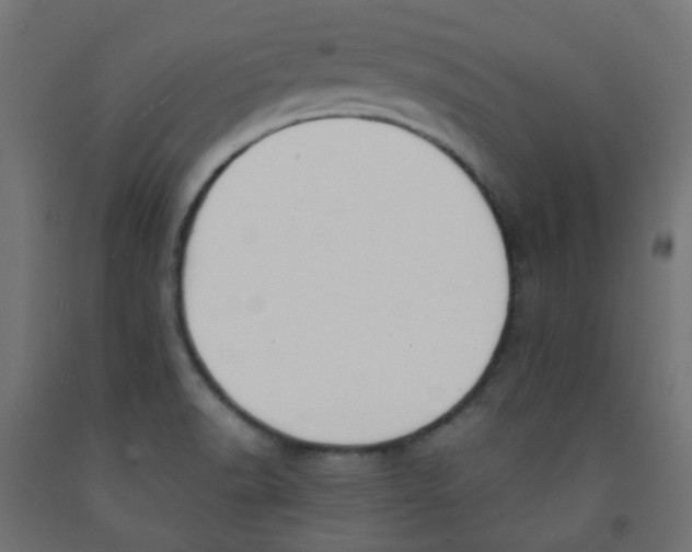 X0000091851518200710031630