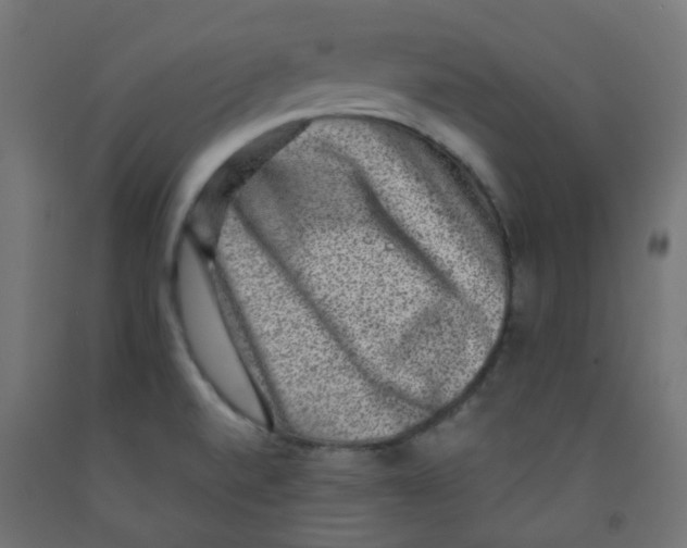 X0000091851520200710031630