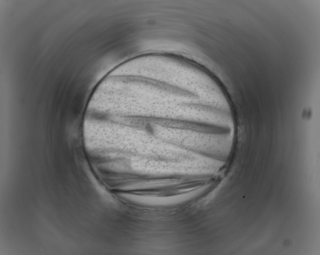 X0000091851521200710031630