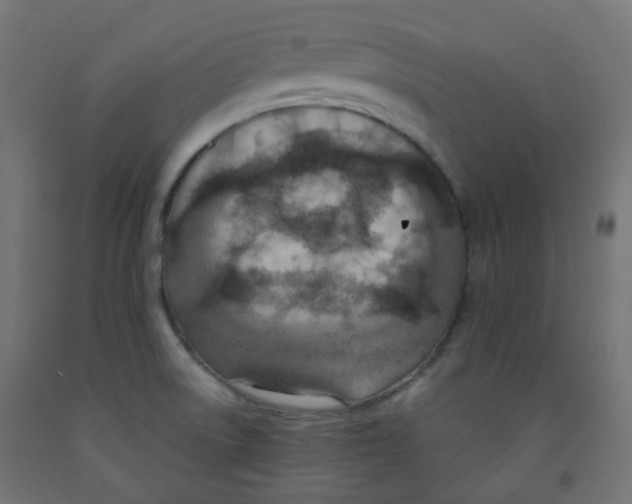 X0000091851522200710031630