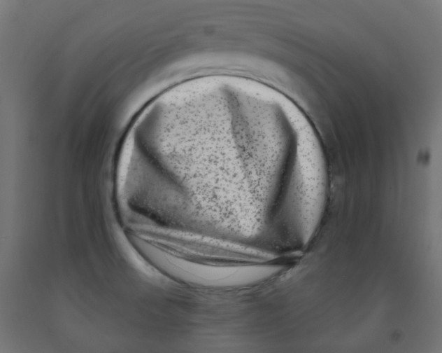 X0000091851523200710031630