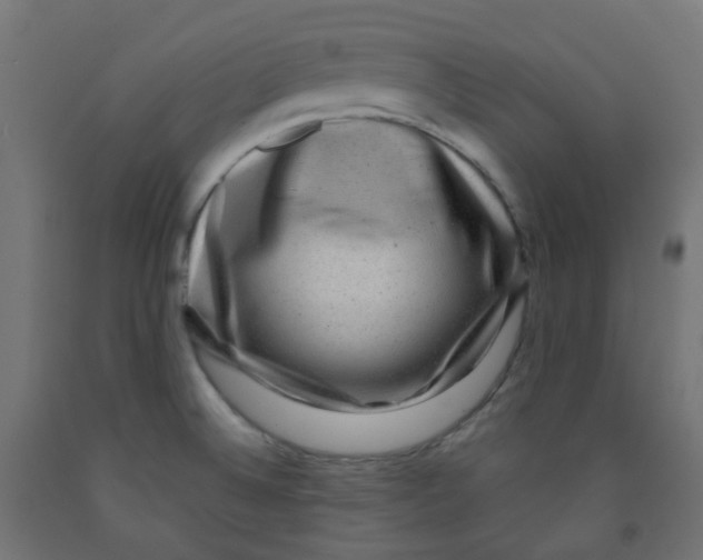 X0000091851524200710031631