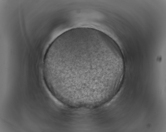 X0000091851525200710031631