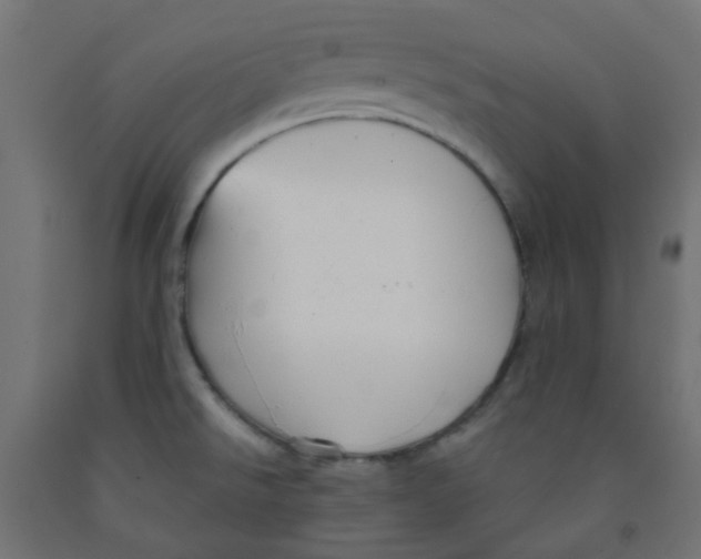 X0000091851526200710031631