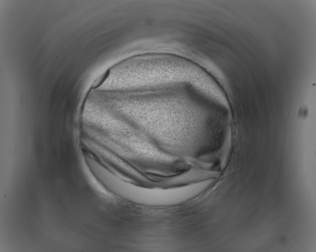 X0000091851528200710031631