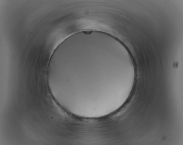 X0000091851529200710031631