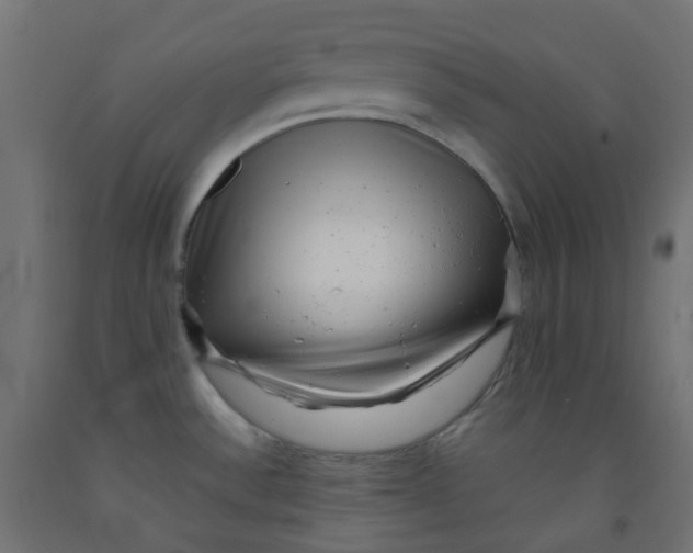 X0000091851532200710031631