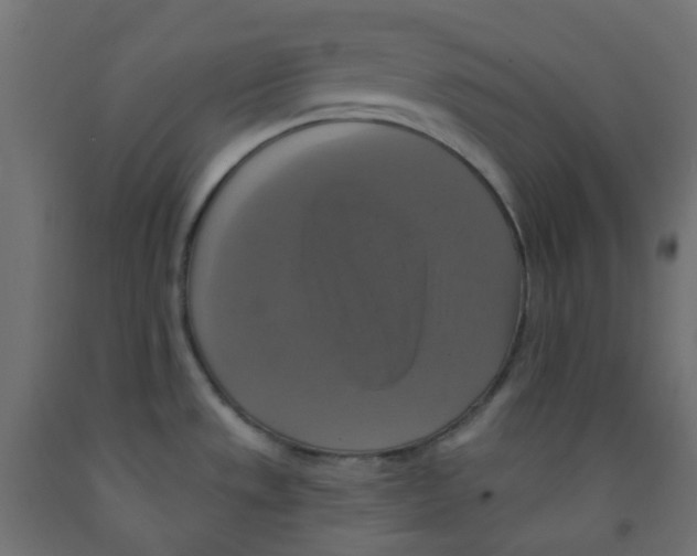 X0000091851533200710031631