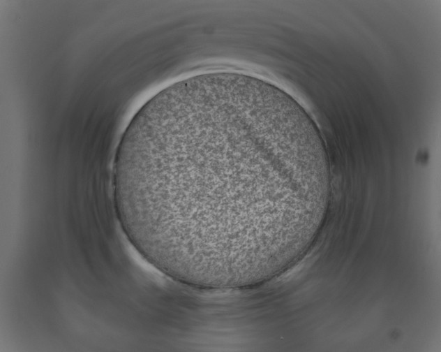 X0000091851535200710031631