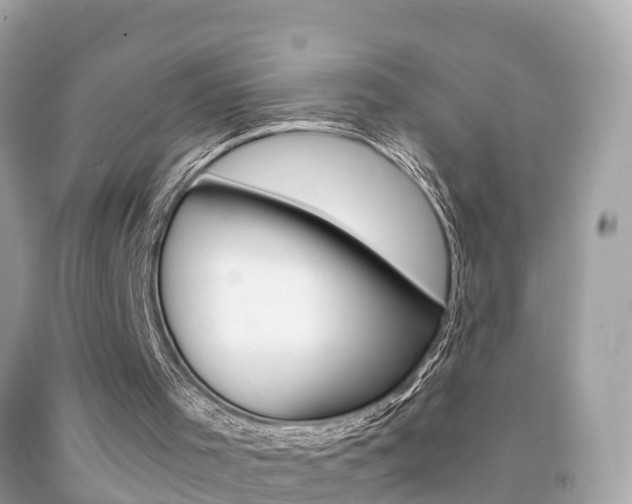 X0000091860001200709051007