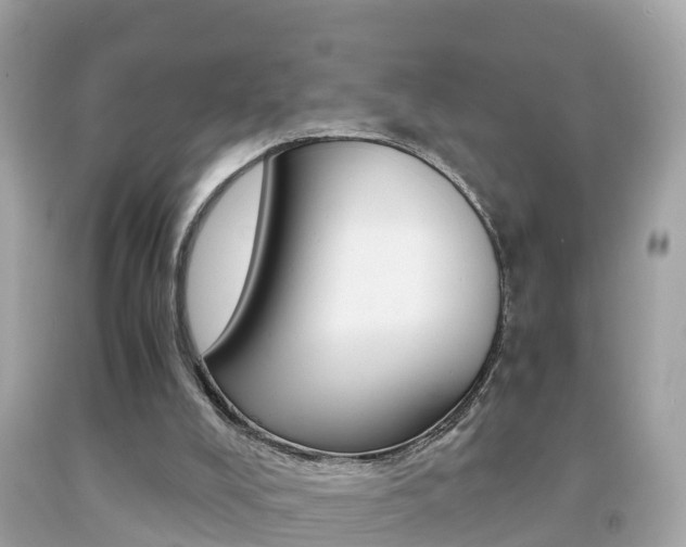 X0000091860008200709051007