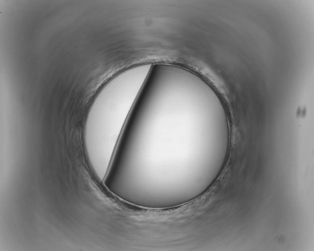X0000091860009200709051006