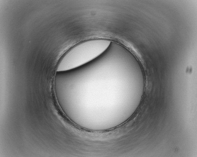 X0000091860010200709051006