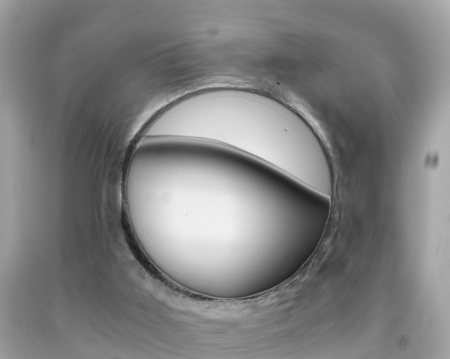 X0000091860011200709051006