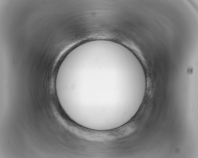 X0000091860012200709051006