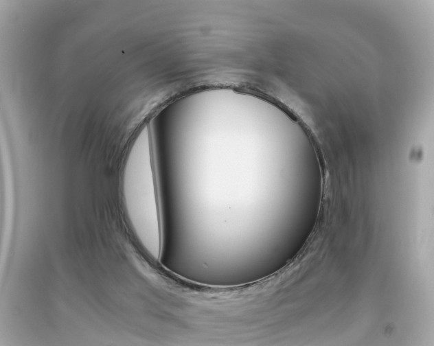 X0000091860013200709051006
