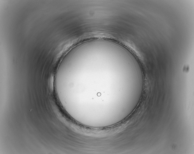 X0000091860014200709051006