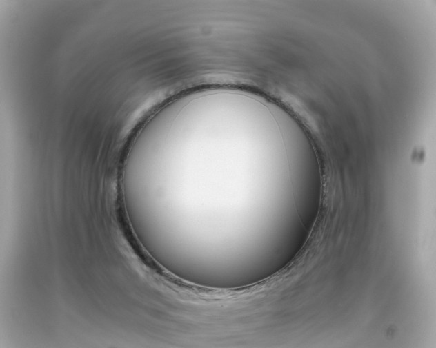 X0000091860015200709051006