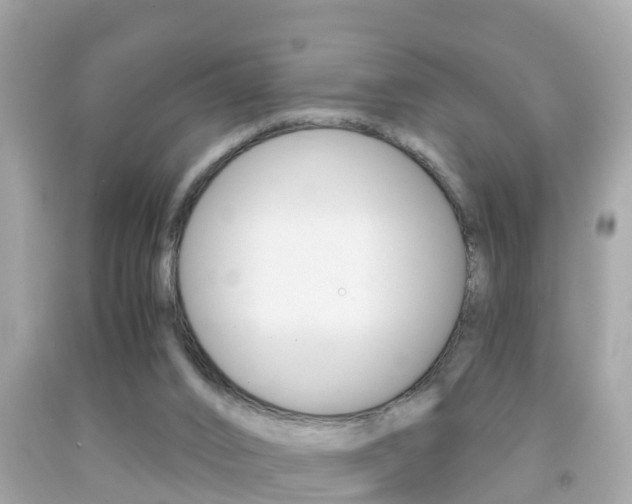X0000091860016200709051006