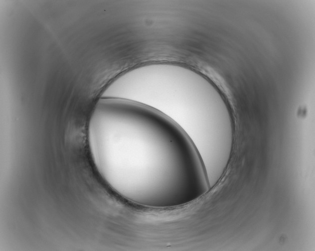 X0000091860017200709051006