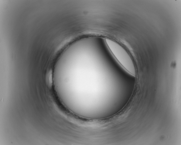 X0000091860020200709051006
