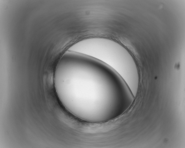 X0000091860021200709051006