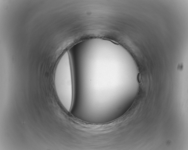 X0000091860023200709051006