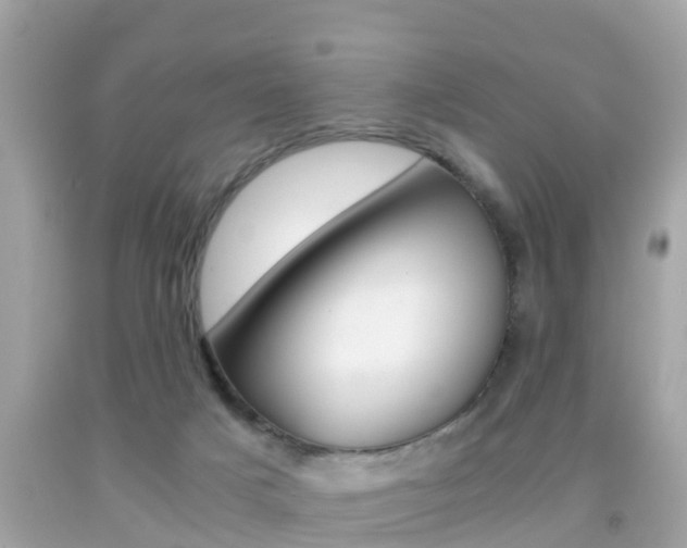 X0000091860025200709051006