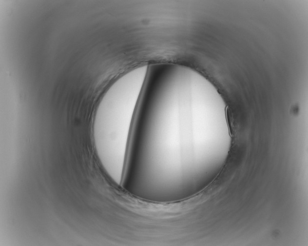 X0000091860027200709051006