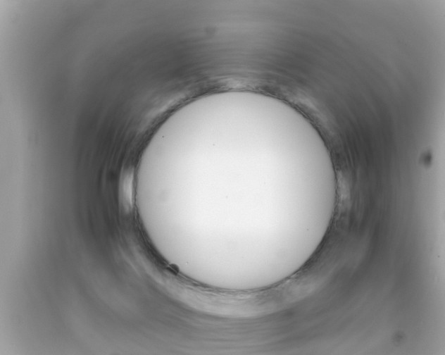 X0000091860028200709051006