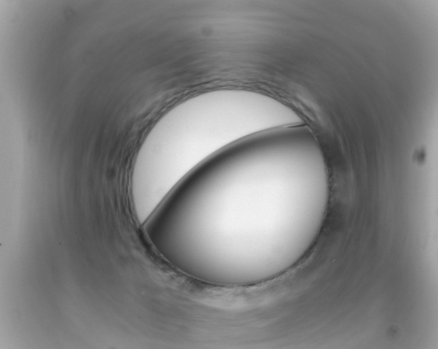 X0000091860029200709051006