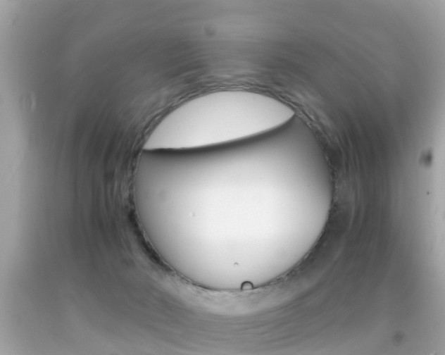 X0000091860030200709051006