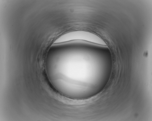 X0000091860031200709051006