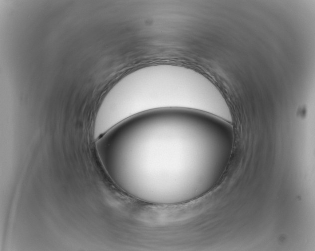 X0000091860033200709051006