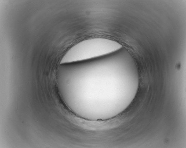 X0000091860034200709051006