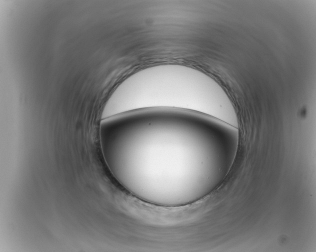 X0000091860035200709051006