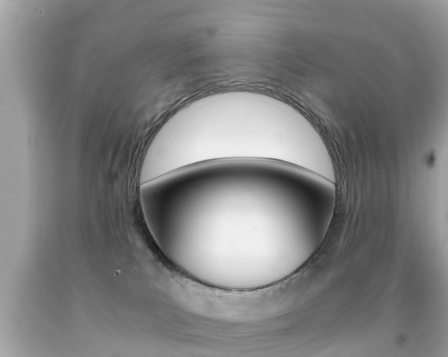 X0000091860039200709051006