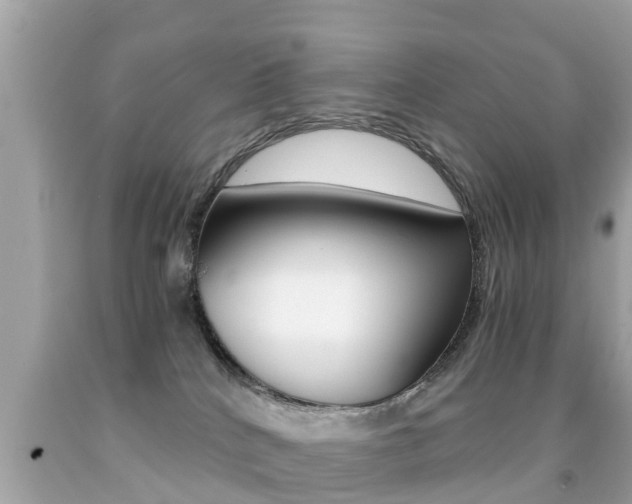 X0000091860040200709051006