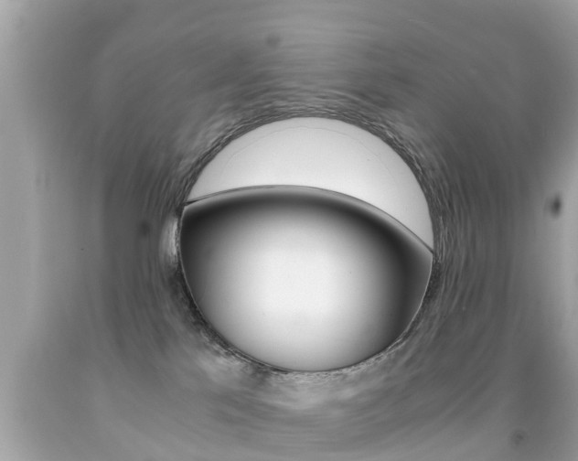 X0000091860041200709051006