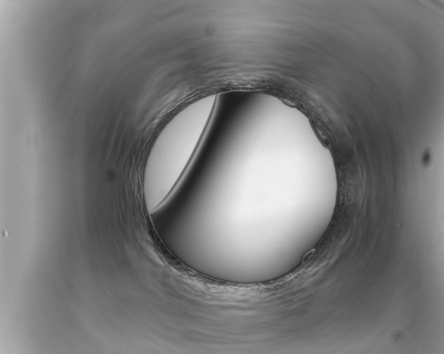 X0000091860044200709051006