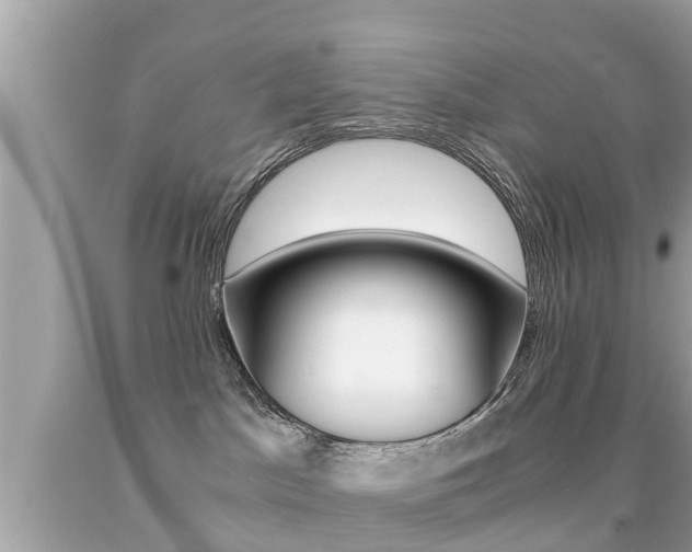 X0000091860045200709051006