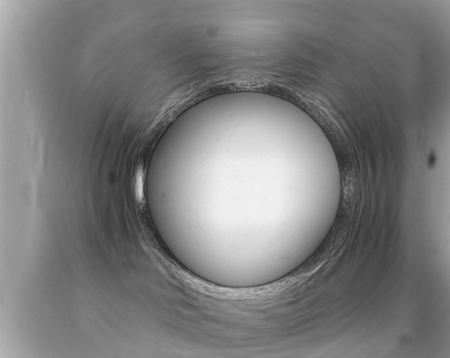 X0000091860046200709051006
