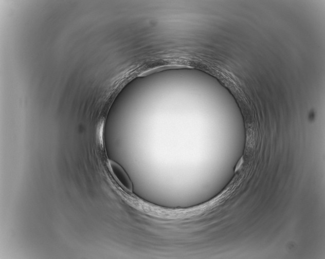X0000091860047200709051006
