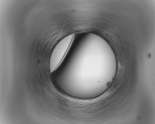 X0000091860048200709051006