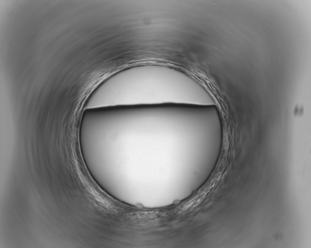 X0000091860049200709051005
