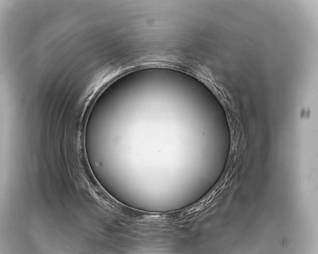 X0000091860050200709051005