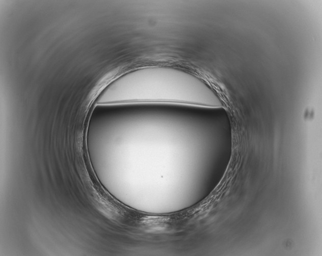 X0000091860051200709051005